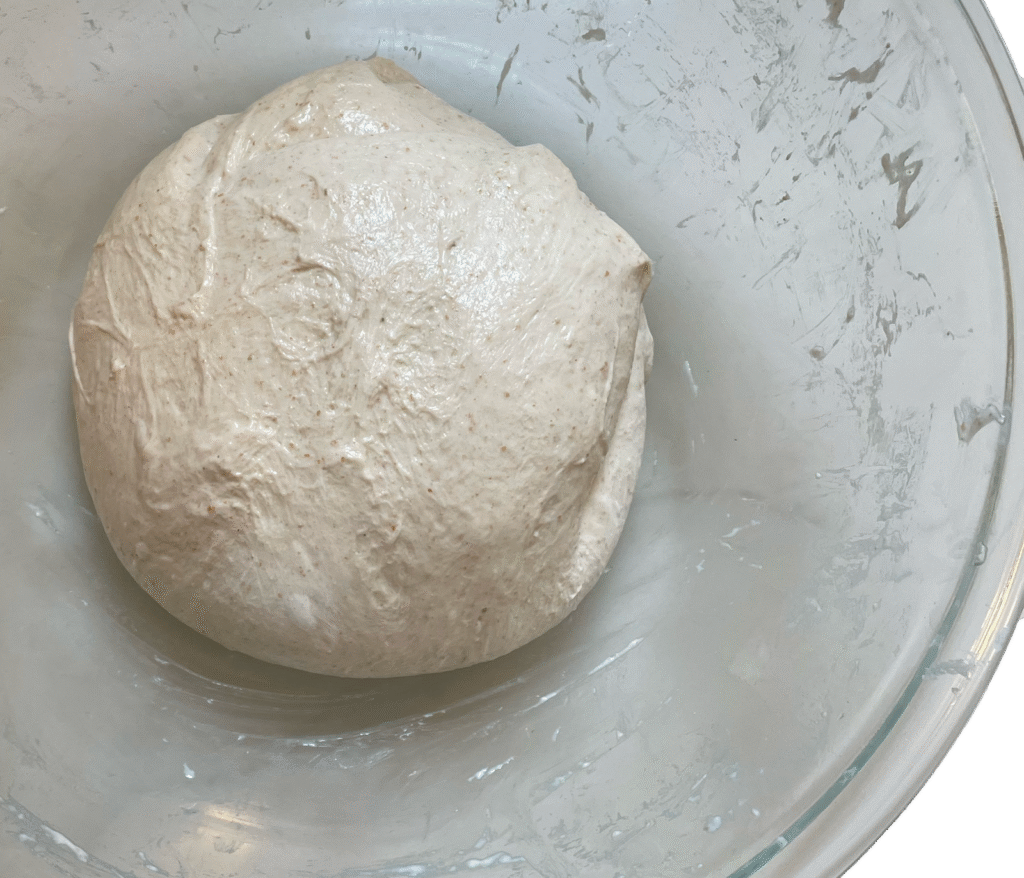 Bulk Fermentation 1 Bulk fermentation of sourdough dough