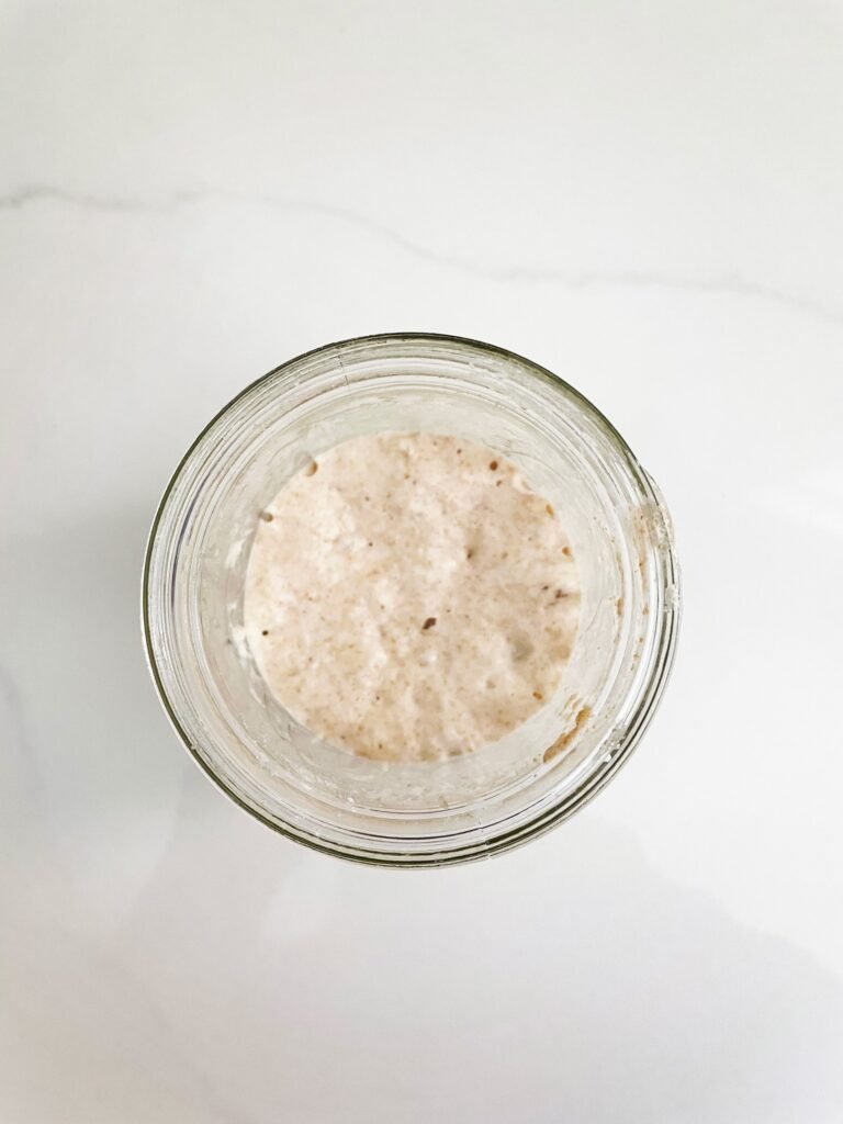 Sourdough Starter 1 Sourdough Starter in a jar